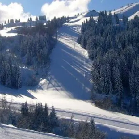 Cosy à 25 M² Avec Vue Montagne