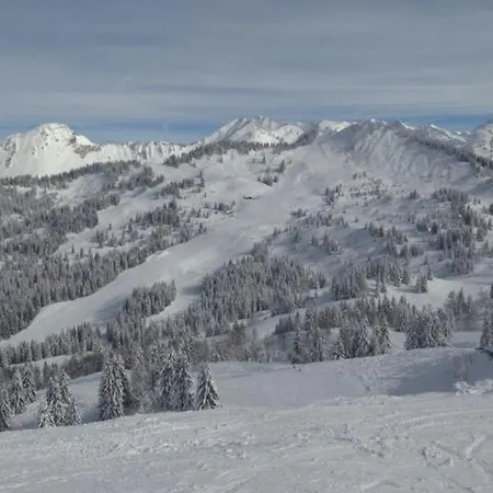 Cosy A 25 M² Avec Vue Montagne