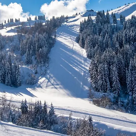 Cosy A 25 M² Avec Vue Montagne Apartman Les Gets