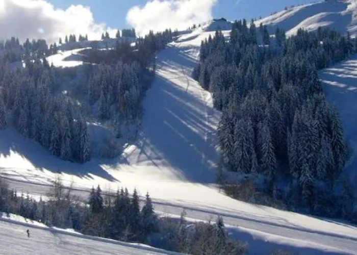 Cosy A 25 M² Avec Vue Montagne